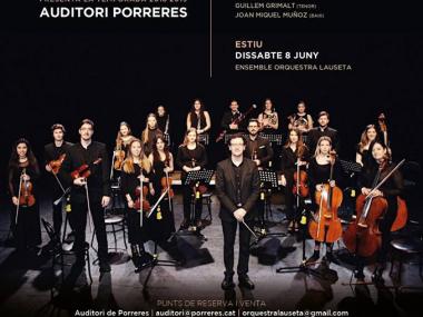 Cartell Cicle de concerts Orquestra Lauseta
